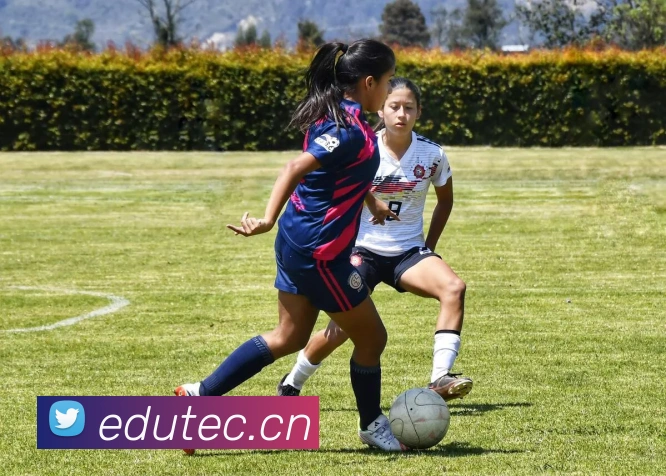 九游网页版官网发展历程